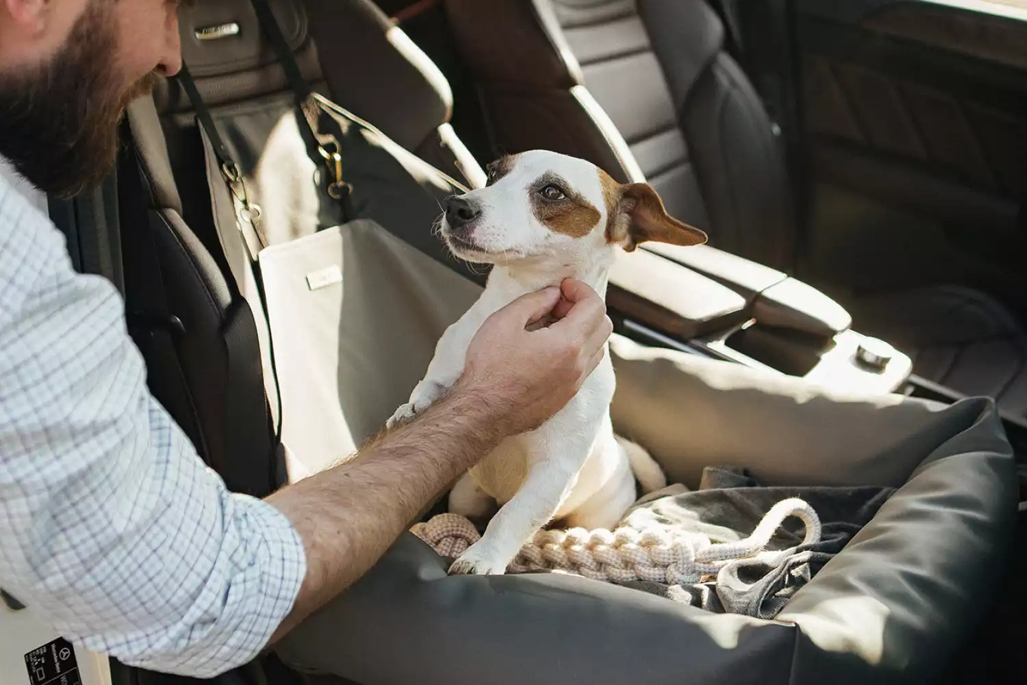 Kia Forte Dog Car Seat for American Water Spaniels