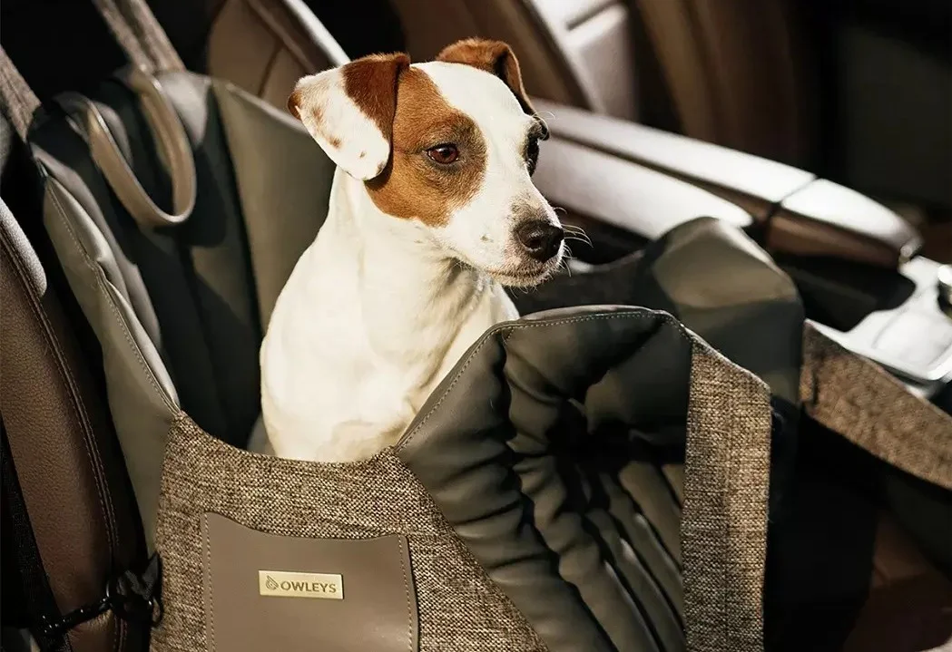 Jeep Renegade Dog Carrier Car Seat for Miniature Bull Terrier